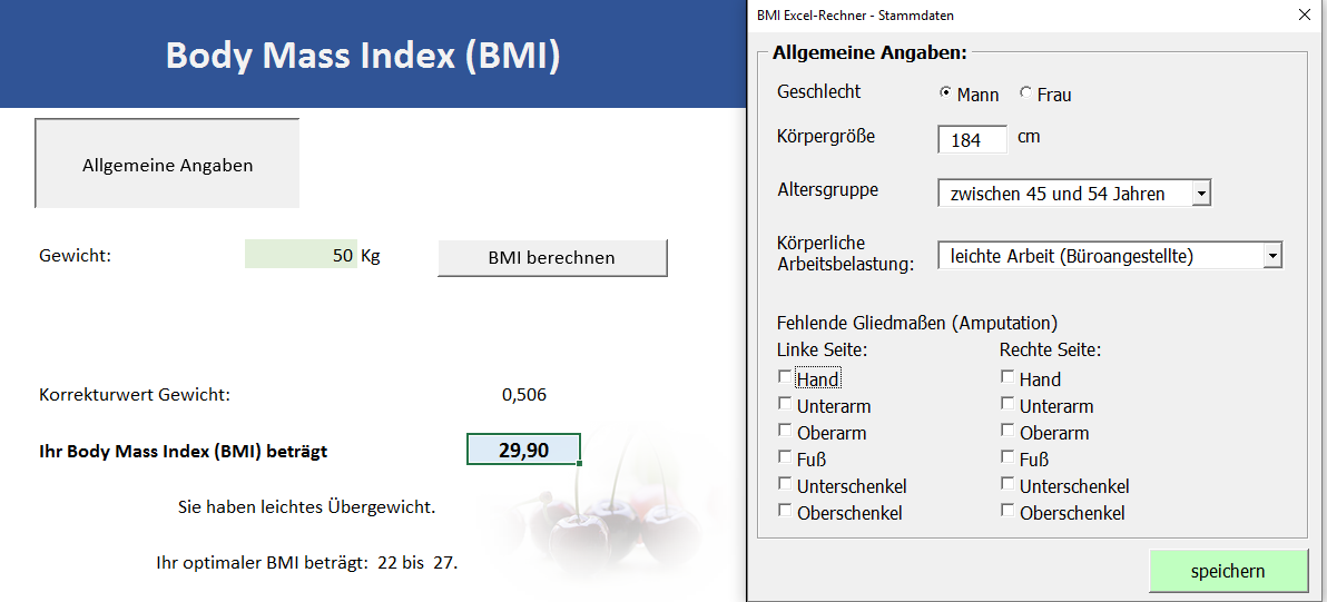 BMI Rechner Excel